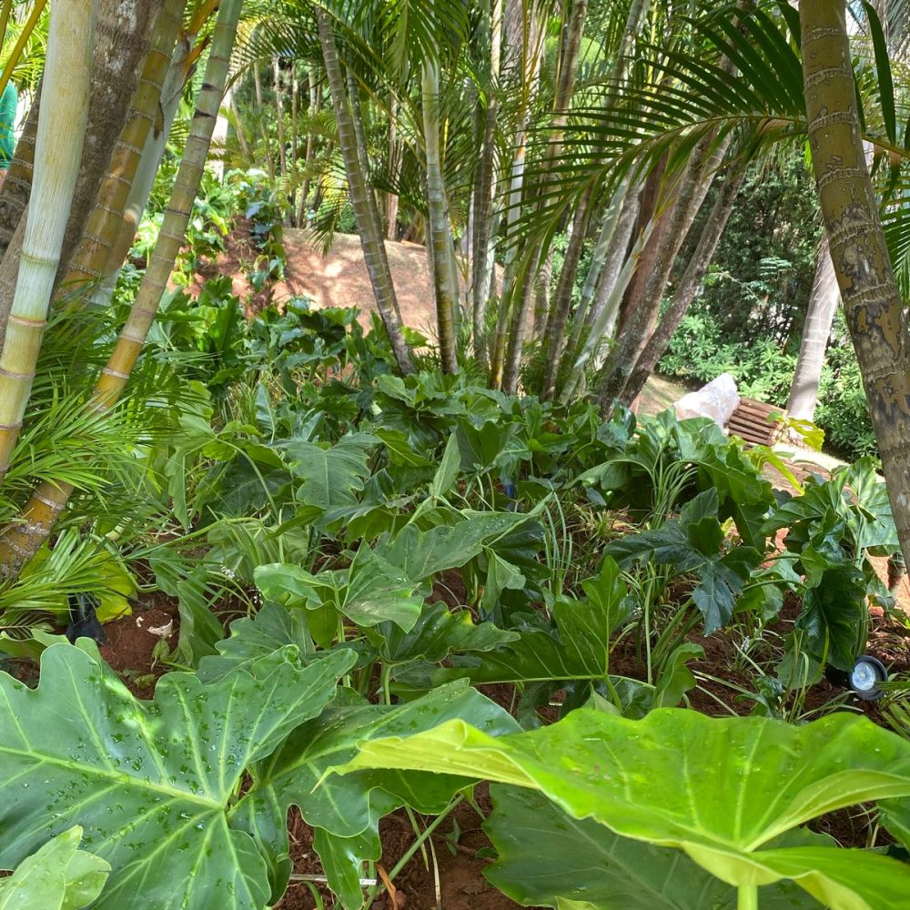 00ec9f27-7a67-4b50-8f44-656265941de6