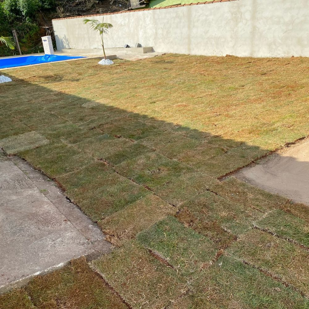 03f5f08c-7840-448d-886e-c00d2d32698b