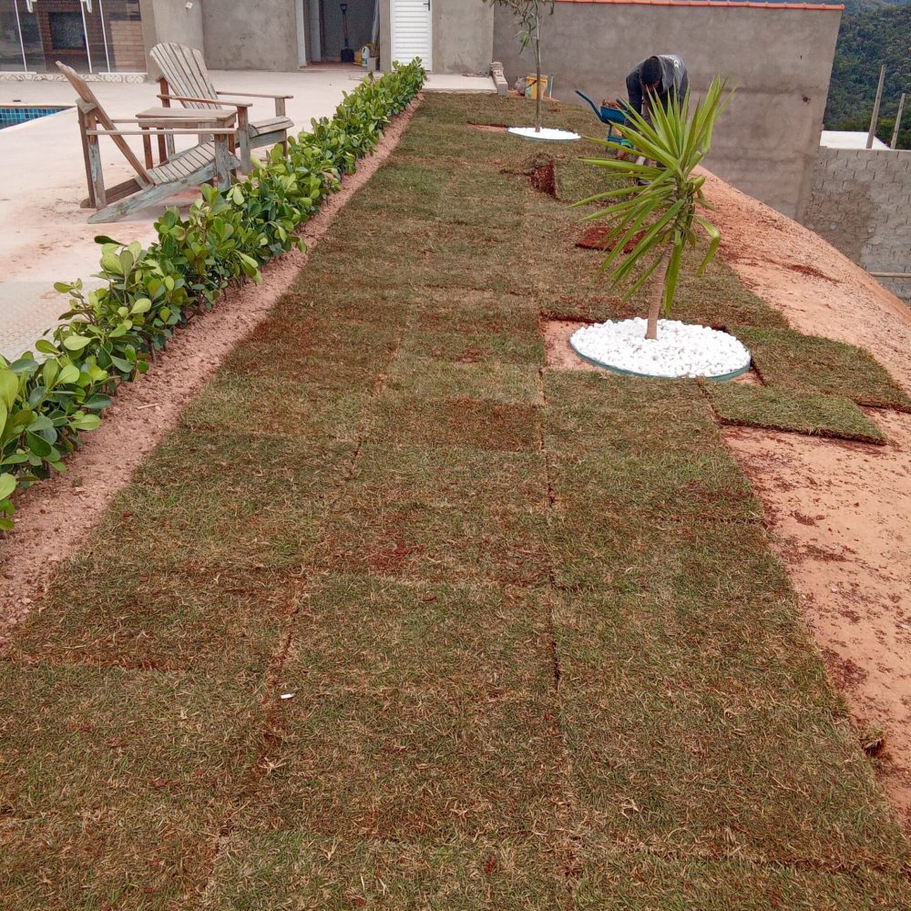 0892a989-9cca-4976-8c15-288f7ed519f4