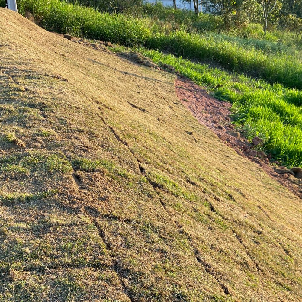 2398d7e7-cd61-4b34-a20d-adf63ac2e1d3