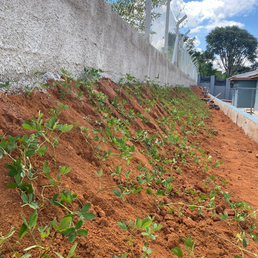 29058cf1-b99d-48fa-a9ba-fd07175ae13d