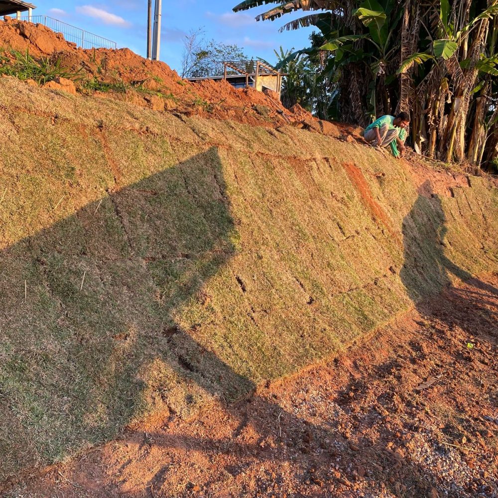 2b5b76ab-ed41-434f-ada8-33d5ebf2b027