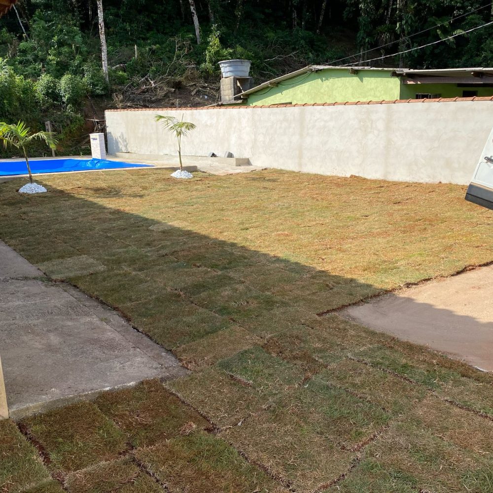 435b92dc-bc29-4b48-bace-6b19d7a3d011(1)