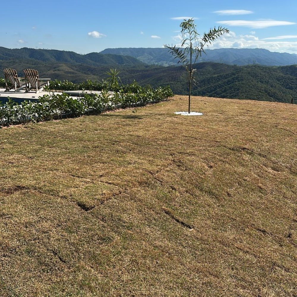 828a850d-392e-4c83-be02-1f6fc274c1e7