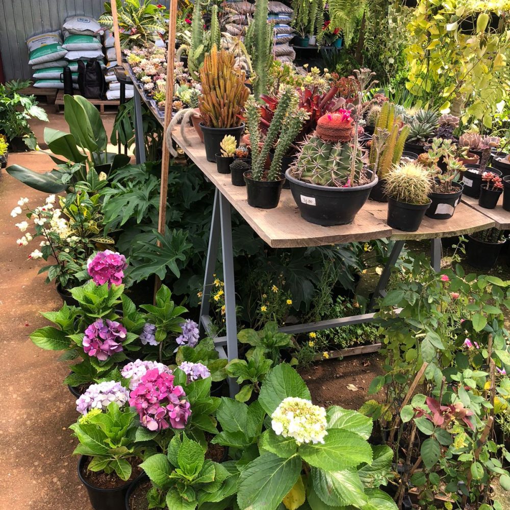 WhatsApp Image 2026-03-05 at 07.50.52