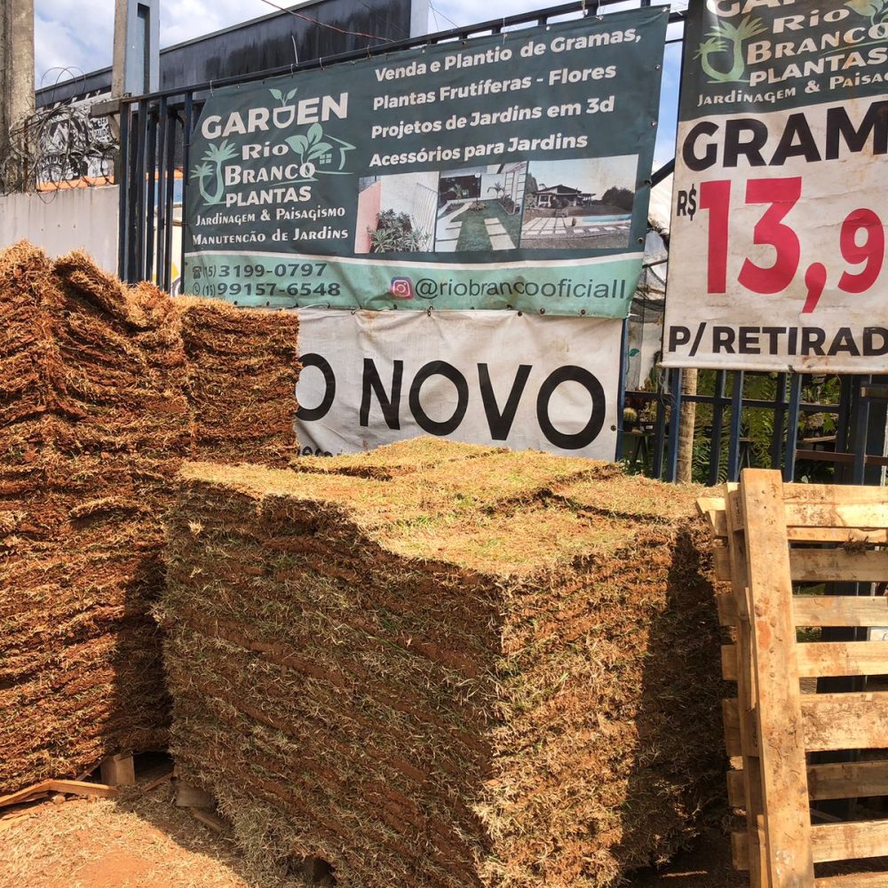 WhatsApp Image 2026-03-05 at 07.50.53