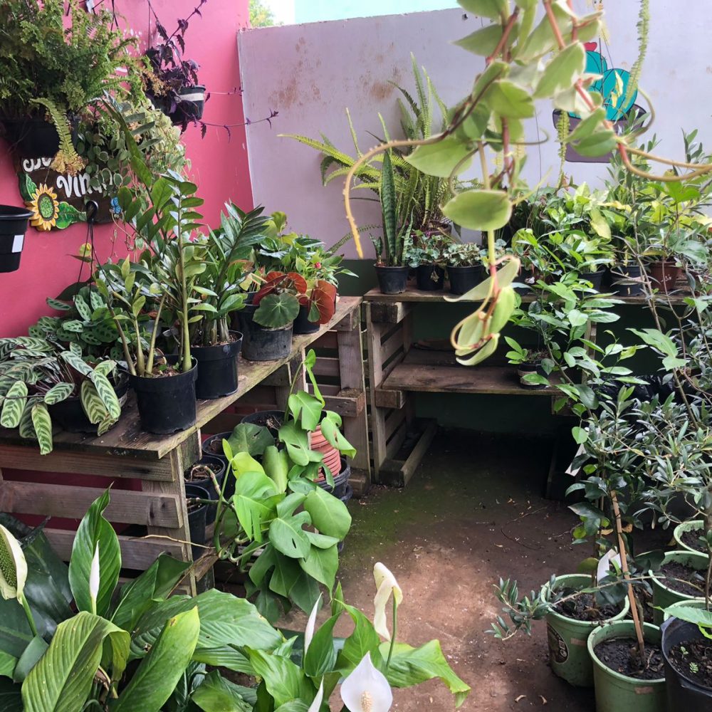 WhatsApp Image 2026-03-05 at 07.50.54 (1)