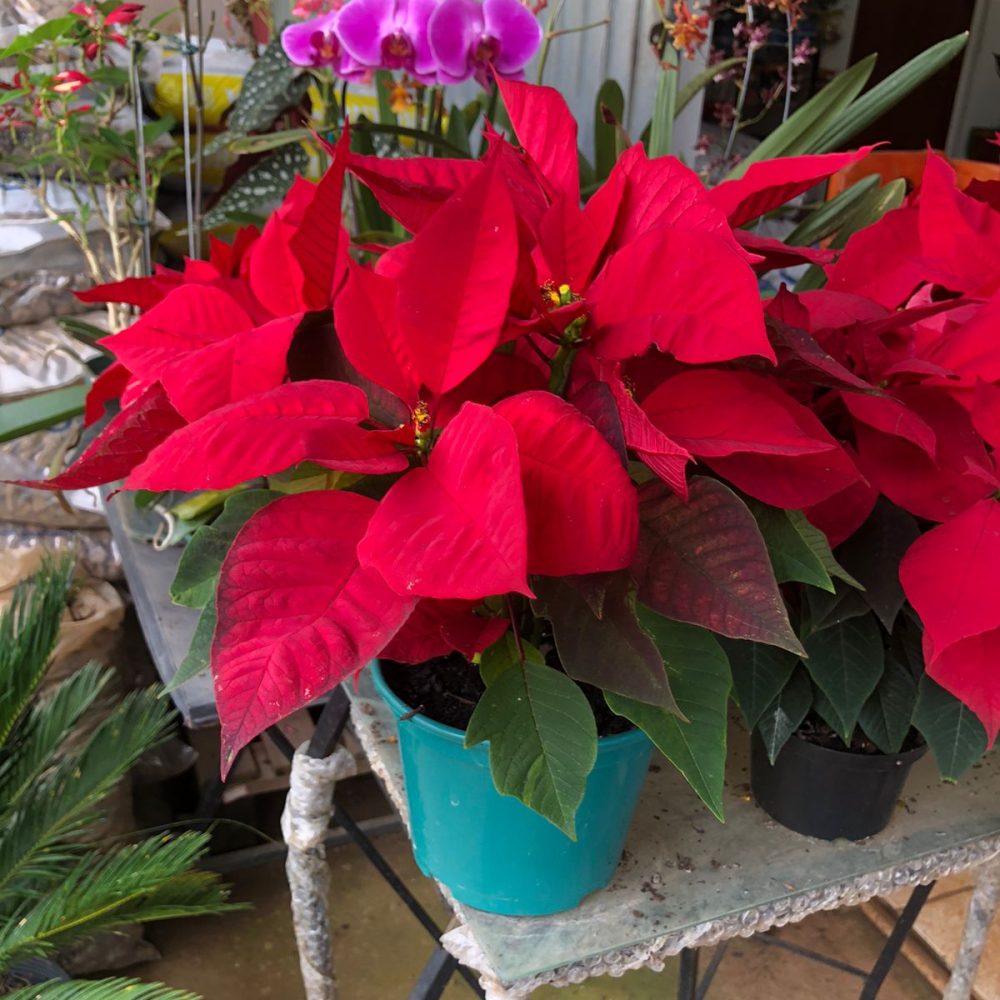 WhatsApp Image 2026-03-05 at 07.50.55 (1)