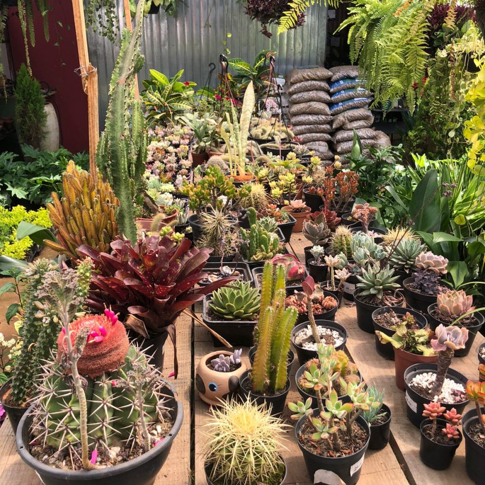 WhatsApp Image 2026-03-05 at 07.50.55 (2)