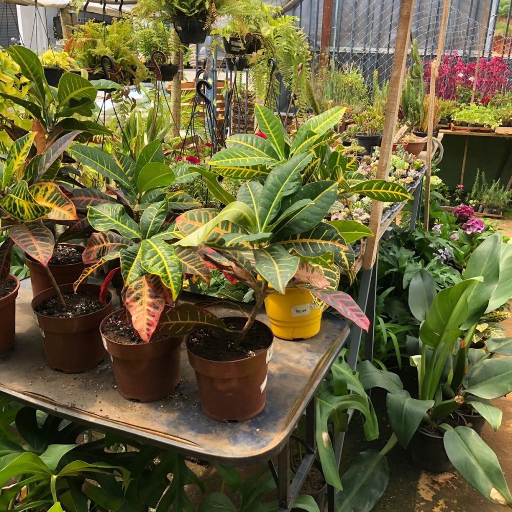 WhatsApp Image 2026-03-05 at 07.50.55 (3)