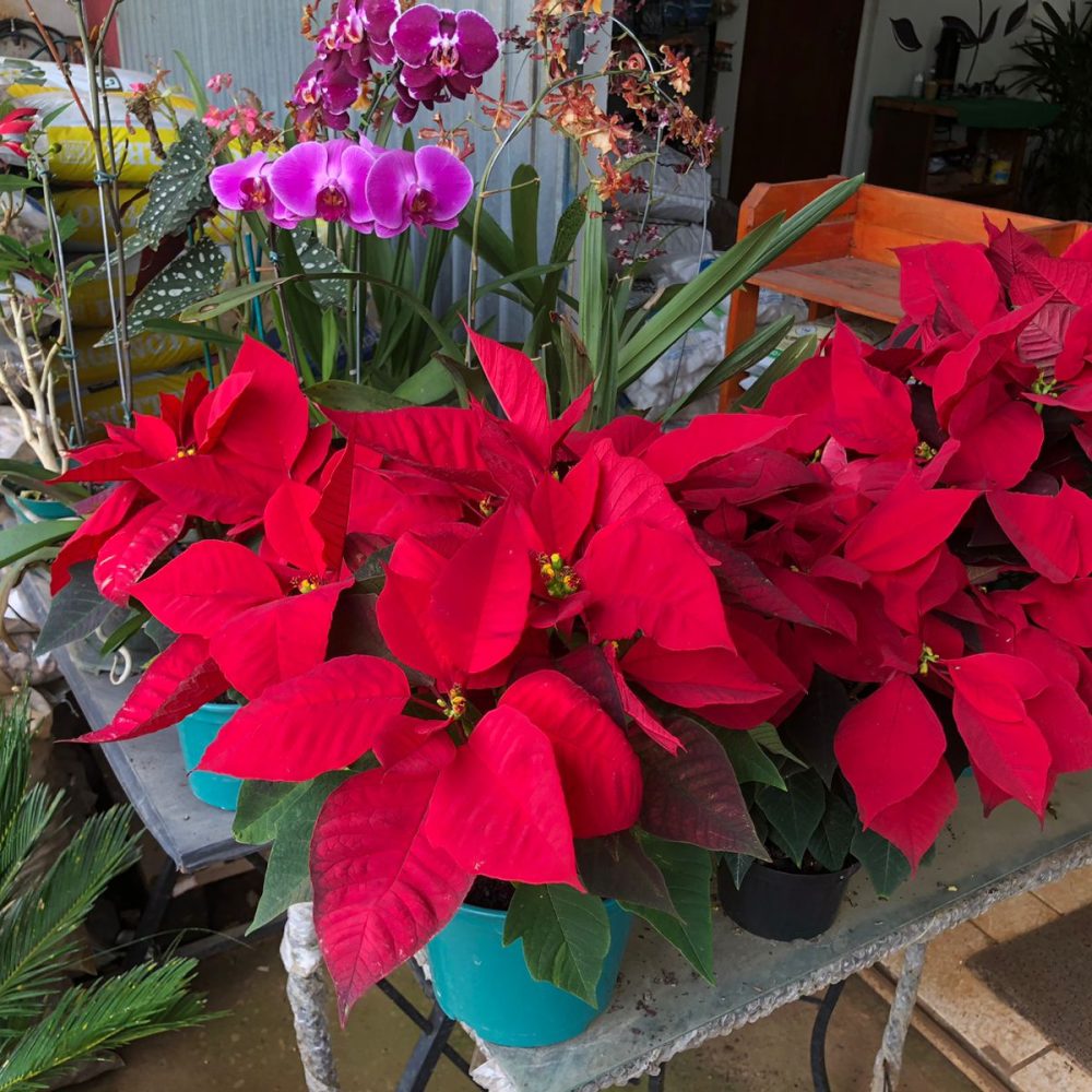 WhatsApp Image 2026-03-05 at 07.50.55