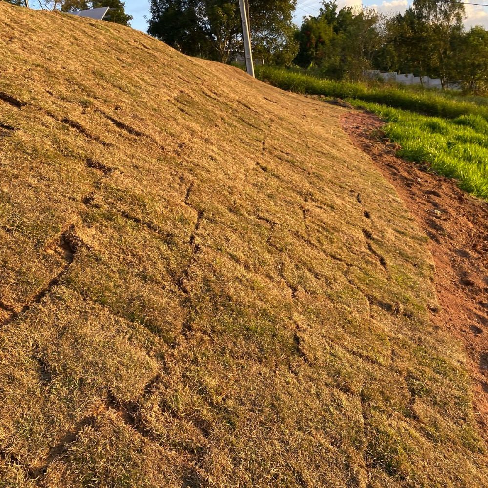 a49def93-8a6f-4fba-ad7a-d7f86856f4a7