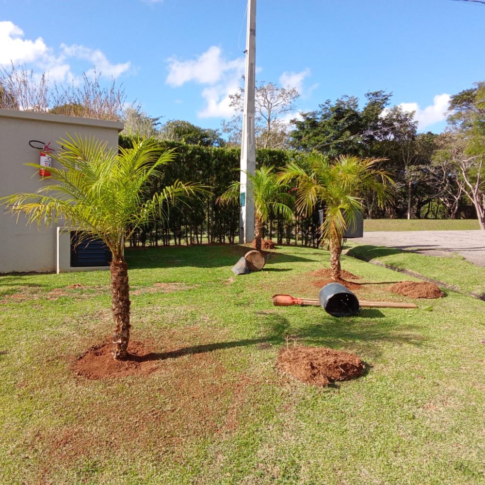 b2a5a87b-782e-46ef-a3d6-bfab8ca79cf4