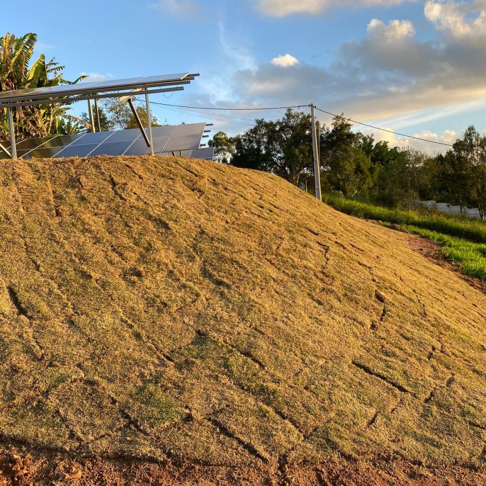 bfb9dfd0-7819-4197-b18d-38b2f6d25e2d