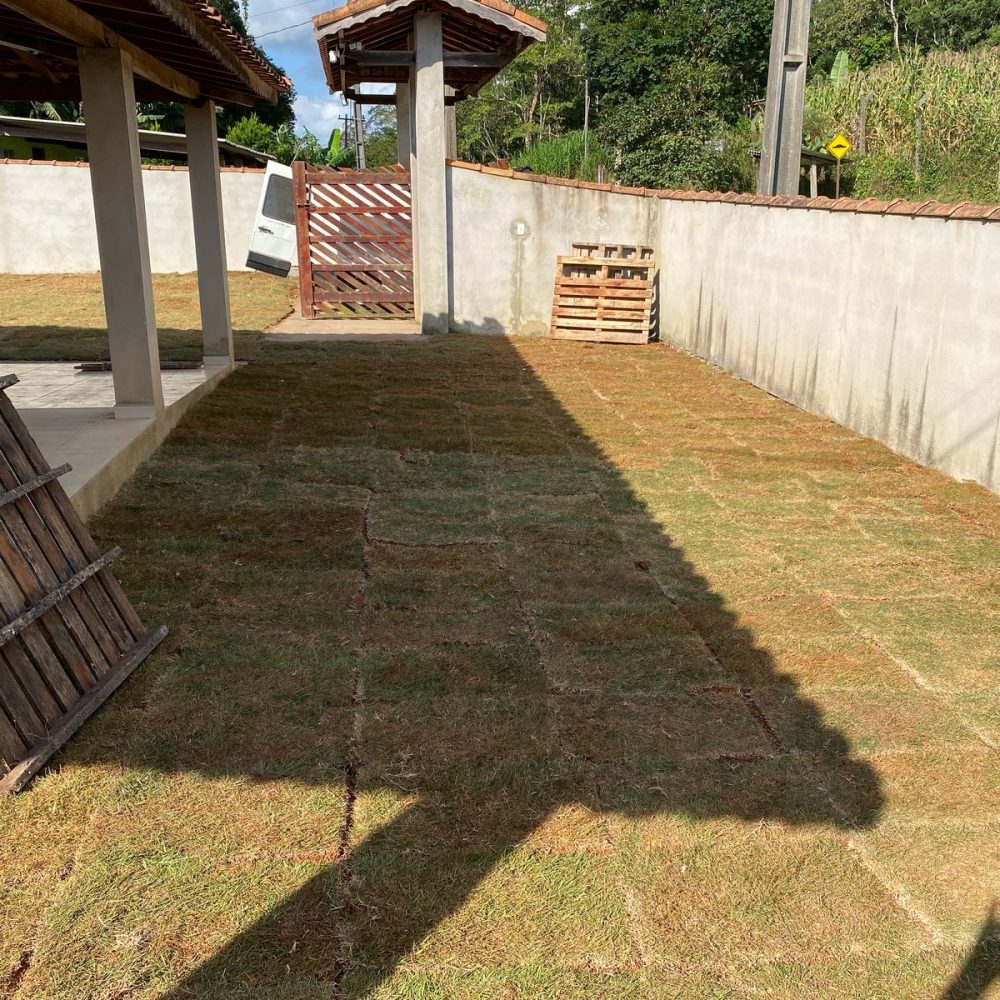 c0536de4-3275-43aa-9d60-bd4d28690a86