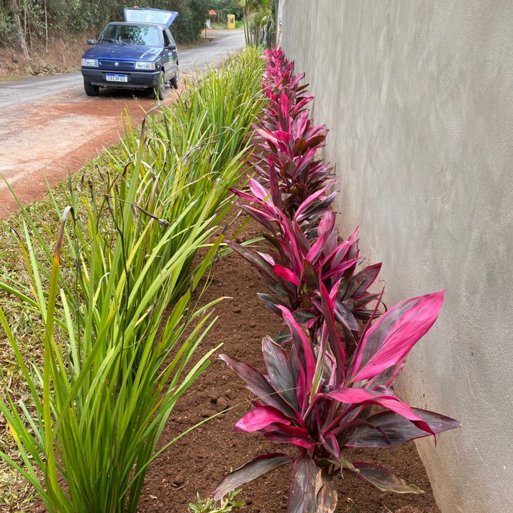 d085163c-38e5-48a1-bf74-01ea3876a42d