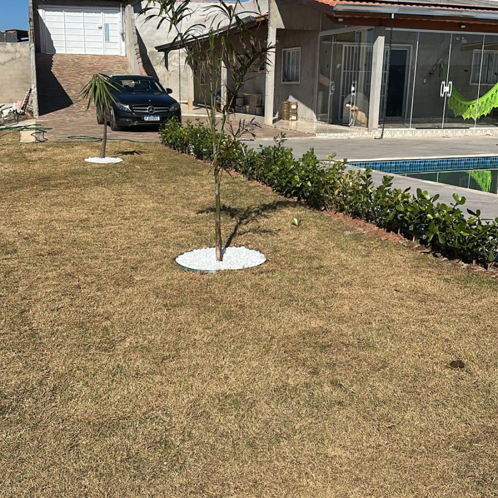 d6460876-bd1f-4585-a72d-67966a1830c8