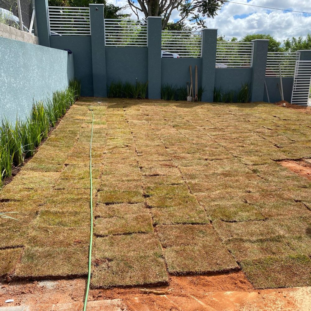 fb22b01b-6324-4d74-a71d-469dddb91025